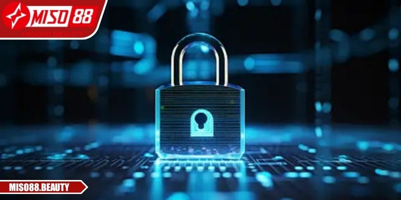Chính sách bảo mật Miso88 định hướng môi trường online an toàn
