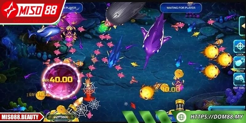 Chúng Thần Phát Tài Miso88 Với Chiến Thuật Hiệu Quả 3 Chiến thuật chuẩn xác giúp tối đa phần thưởng lớn