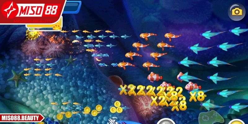Đánh Cá Vui Vẻ Miso88 – Trải Nghiệm Thư Giãn, Hấp Dẫn 1 Hòa mình vào thế giới biển sâu đầy sinh vật thưởng cực lớn