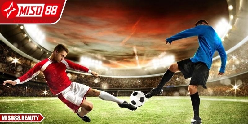 Cấu trúc dễ hiểu, tỷ lệ minh bạch giúp dự đoán chính xác hơn