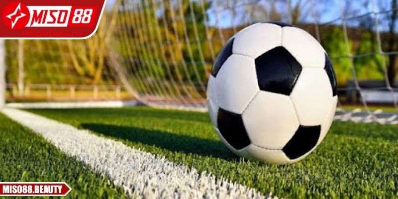 Kèo 1x2 Miso88 cung cấp tỷ lệ châu Âu minh bạch và dễ hiểu
