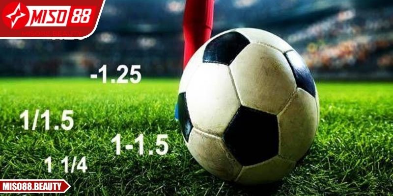 Kèo Chấp Trực Tiếp Miso88 – Chinh Phục Tỷ Lệ Từng Phút 3 Chiến thuật phân tích thông minh kiểm soát tỷ lệ hiệu quả