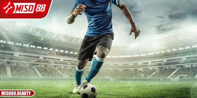 Chiến lược dài hạn giúp hội viên duy trì hiệu suất ổn định