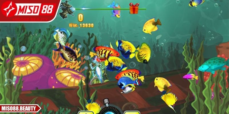 Hành trình vươn lên đỉnh cao với danh hiệu Vua Bắn Cá Miso88
